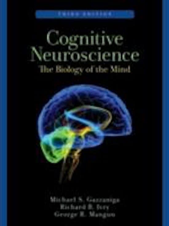 PSYB55: Introduction to Cognitive Neuroscience Lecture 6