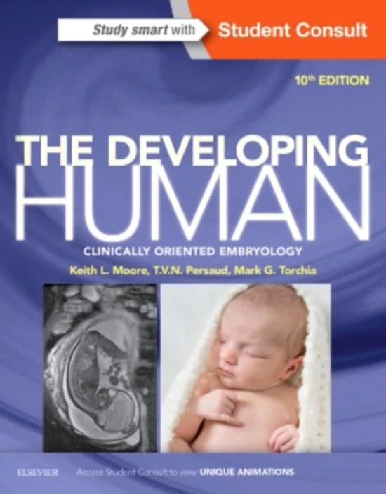 The Developing Human summary