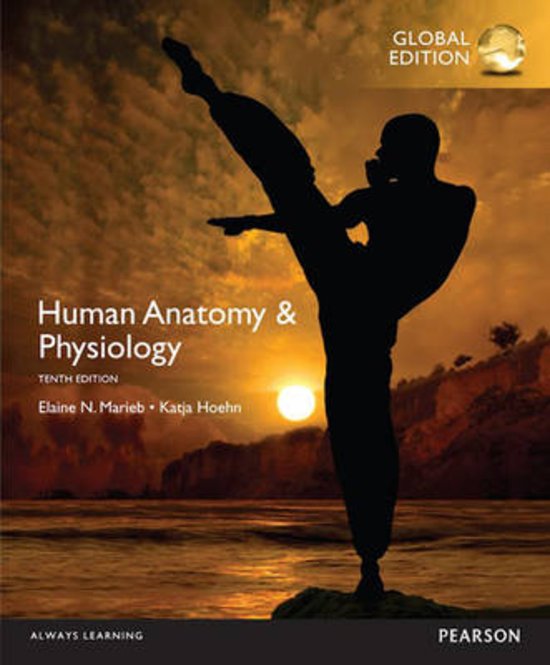 Human Anatomy 