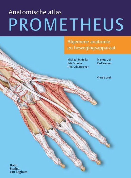 Spiertabellen Anatomie bewegingsapparaat - Prometheus anatomische atlas 1:  Algemene anatomie en bewegingsapparaat (UA_1034FBDBMW)